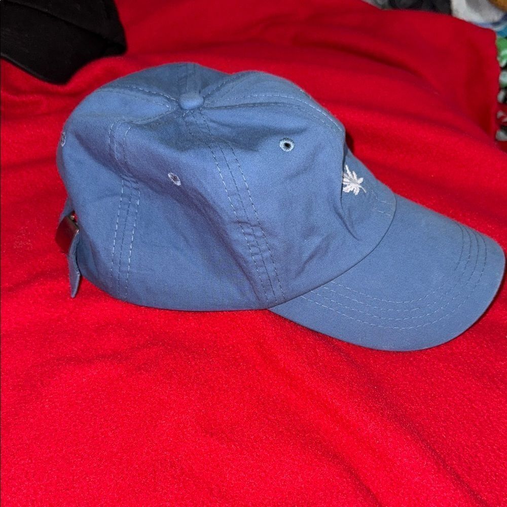 Blue Embroidered Cap - Picture 2 of 5